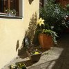 20150421_154555 garten1